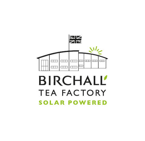 Great Rift Breakfast Blend 15 Plant-Based Prism Tea Bags